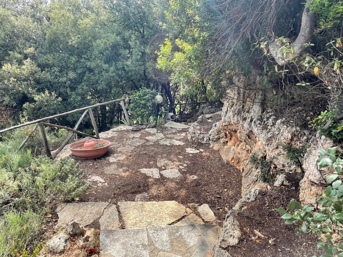 Villa Degli Ulivi Massa Marittima Kültér fotó