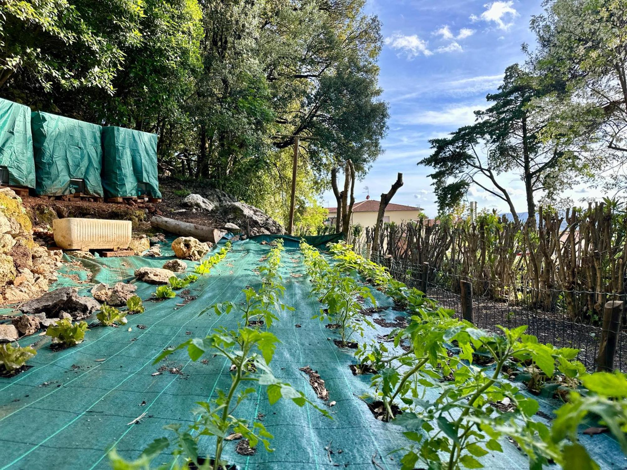 Villa Degli Ulivi Massa Marittima Kültér fotó